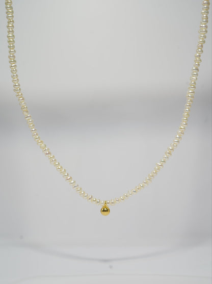 'DingDang' Freshwater Pearl Full Strand Necklace