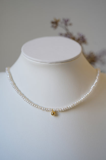 'DingDang' Freshwater Pearl Full Strand Necklace